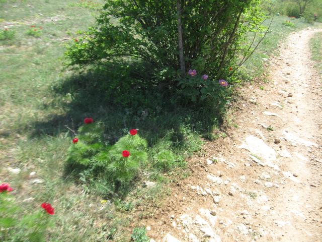 attachment.php?attachmentid=273990&stc=1&d=1367940431