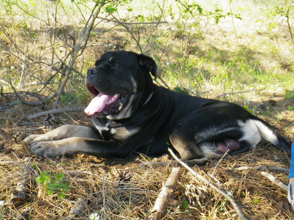 attachment.php?attachmentid=275130&d=1368366142