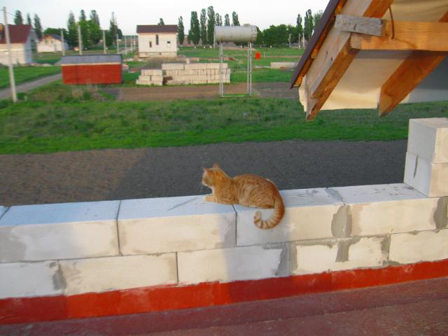 attachment.php?attachmentid=277097&stc=1&d=1368863153