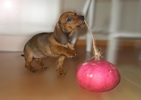 attachment.php?attachmentid=27829&stc=1&d=1254075268