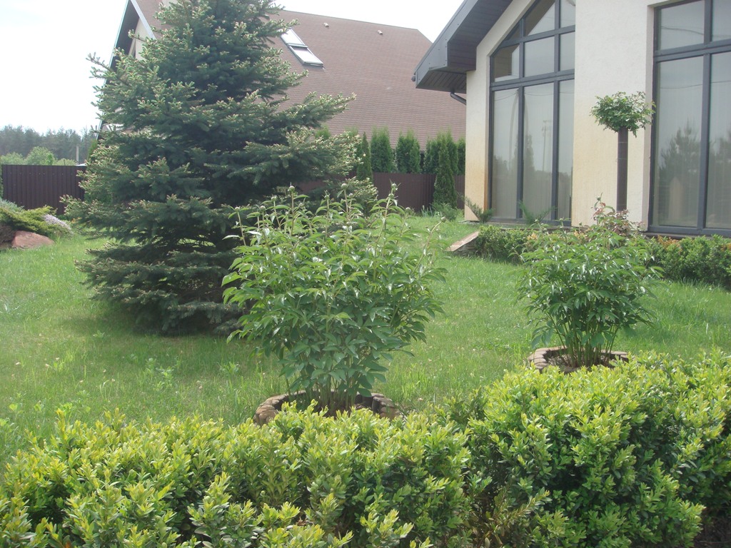 attachment.php?attachmentid=279029&d=1369393052