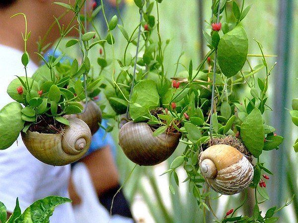 attachment.php?attachmentid=280955&stc=1&d=1369981609