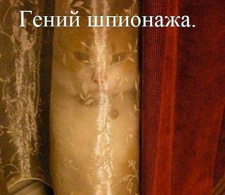 attachment.php?attachmentid=280962&stc=1&d=1369982566