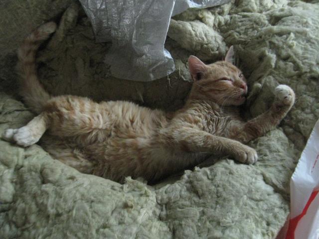 attachment.php?attachmentid=283670&stc=1&d=1370807463