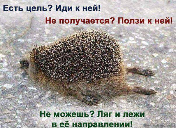 attachment.php?attachmentid=284167&stc=1&d=1370960717