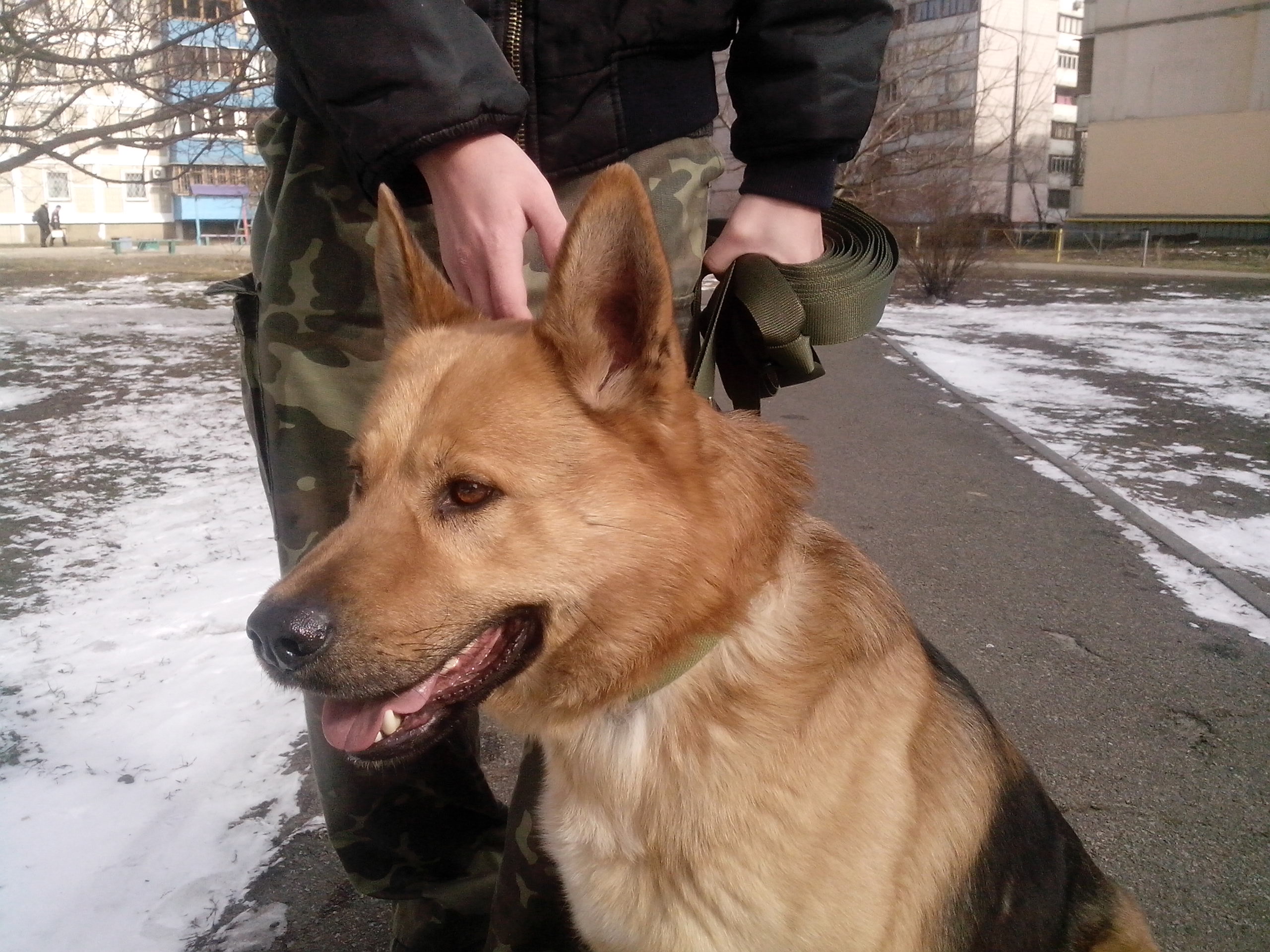 attachment.php?attachmentid=285461&d=1371461338