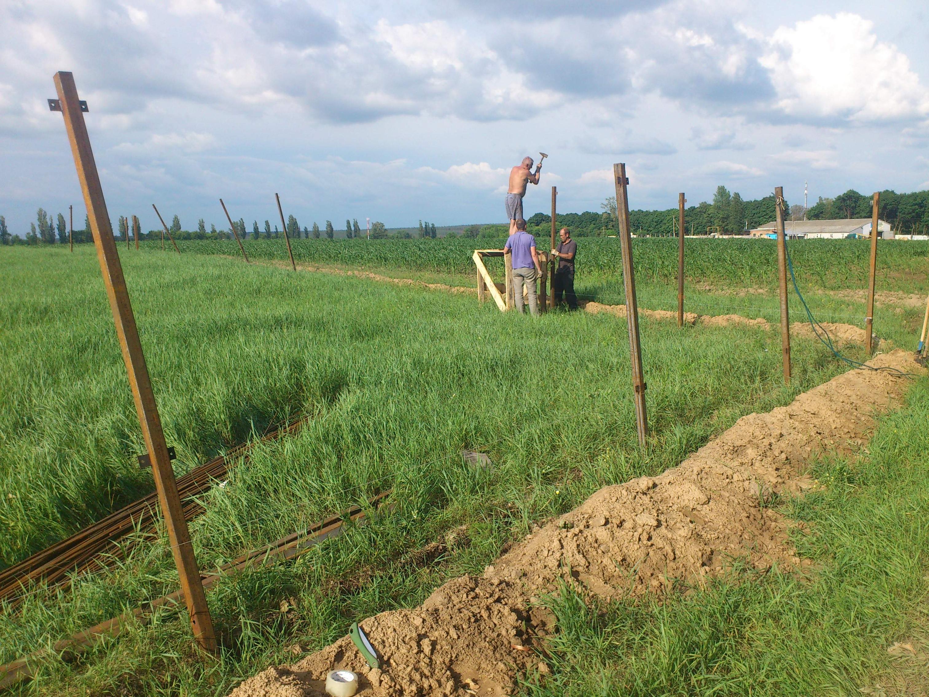 attachment.php?attachmentid=294199&stc=1&d=1374314611