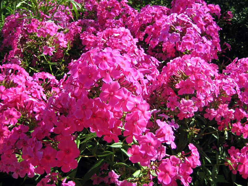 attachment.php?attachmentid=296820&d=1375205471