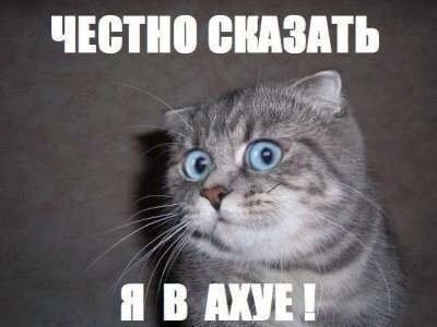 attachment.php?attachmentid=302298&d=1377200376