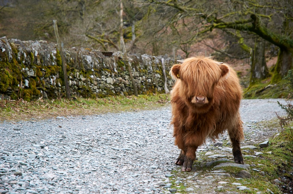 attachment.php?attachmentid=309294&d=1379957800