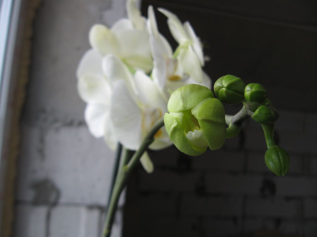 attachment.php?attachmentid=309881&stc=1&d=1380196890