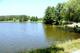 attachment.php?attachmentid=311494&stc=1&d=1380851591