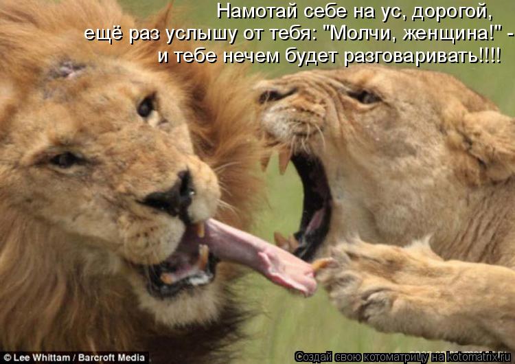 attachment.php?attachmentid=312542&stc=1&d=1381321002