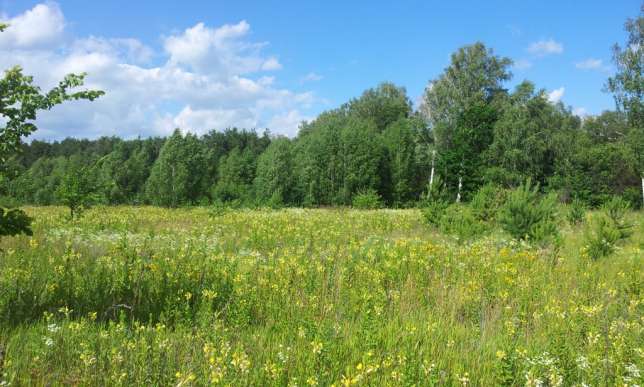 attachment.php?attachmentid=313332&stc=1&d=1381672273