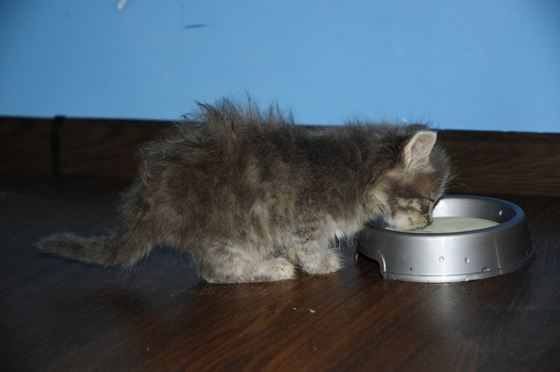 attachment.php?attachmentid=314292&d=1381939453