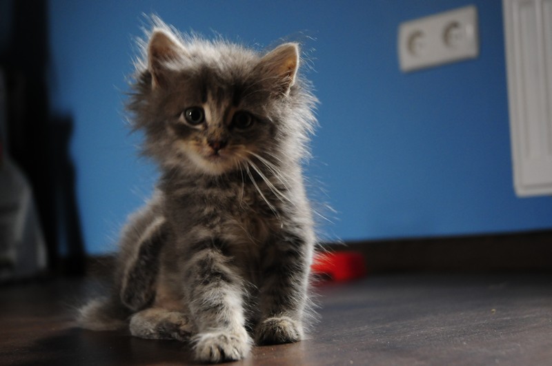 attachment.php?attachmentid=314294&d=1381939485