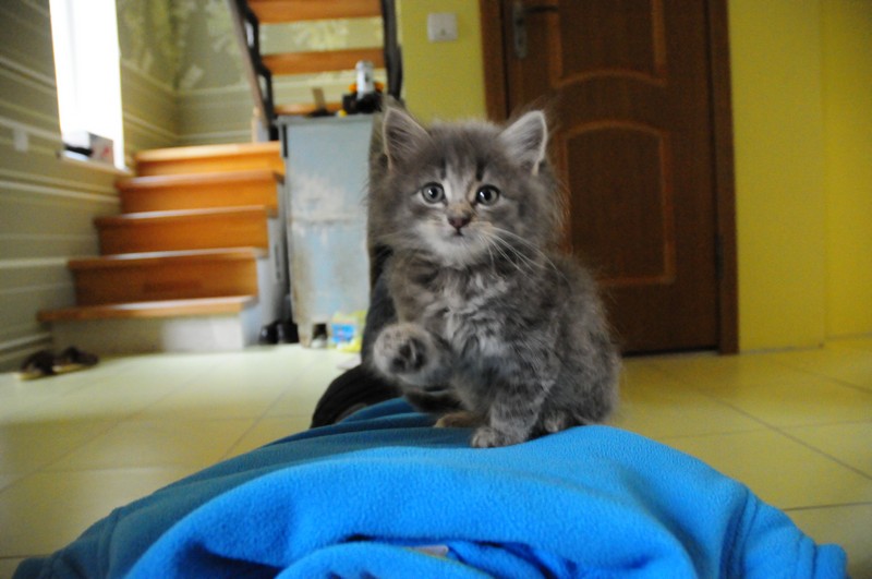 attachment.php?attachmentid=314295&d=1381939498