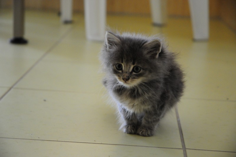 attachment.php?attachmentid=314296&d=1381939512