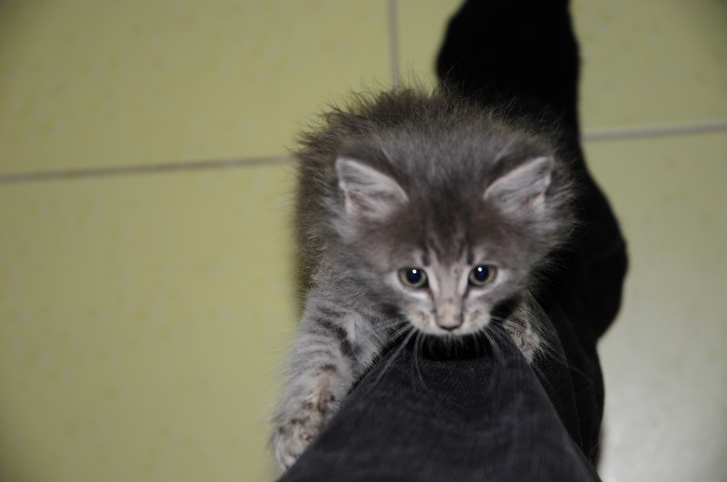 attachment.php?attachmentid=314297&d=1381939523