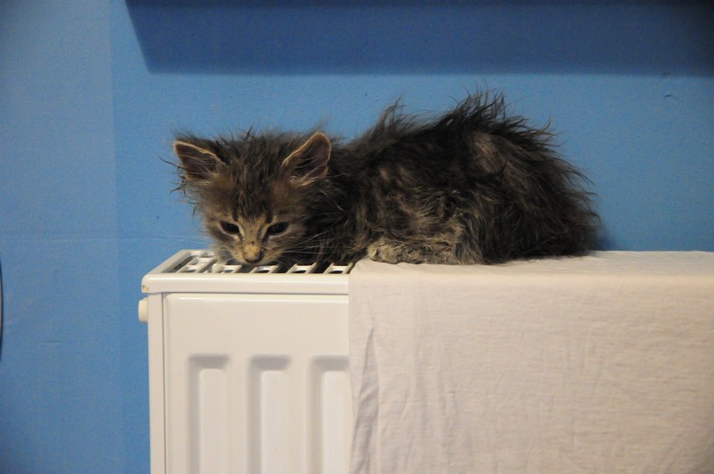 attachment.php?attachmentid=314298&d=1381939534