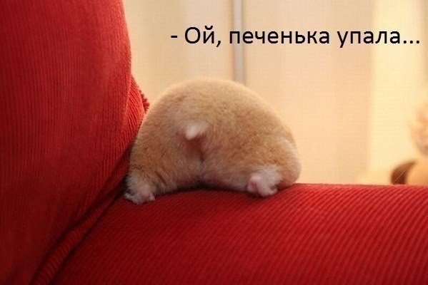 attachment.php?attachmentid=316152&stc=1&d=1382707836