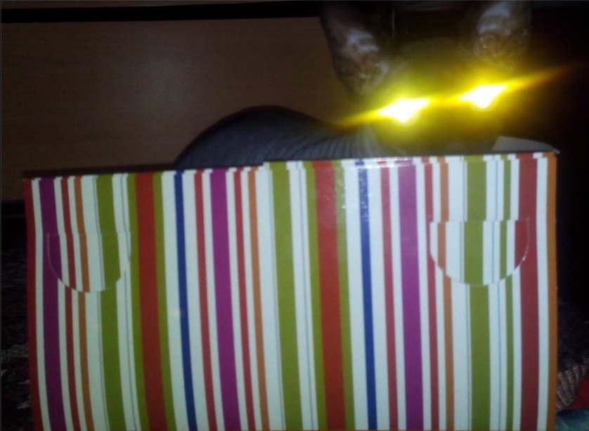 attachment.php?attachmentid=319056&stc=1&d=1383764087