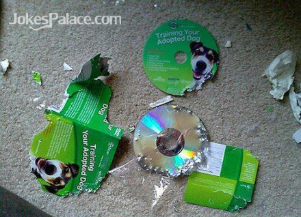 attachment.php?attachmentid=320009&stc=1&d=1384154196