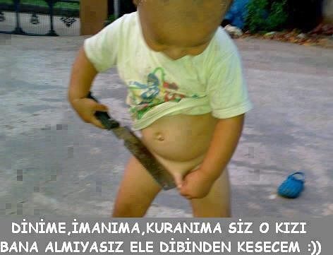 attachment.php?attachmentid=322307&stc=1&d=1385044515