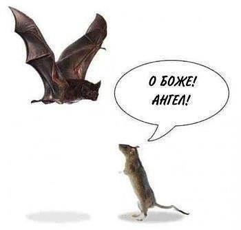 attachment.php?attachmentid=322600&stc=1&d=1385187747