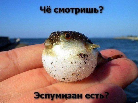 attachment.php?attachmentid=325248&stc=1&d=1386314091