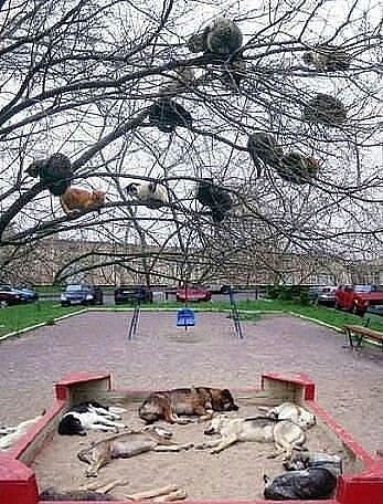 attachment.php?attachmentid=325831&stc=1&d=1386614354