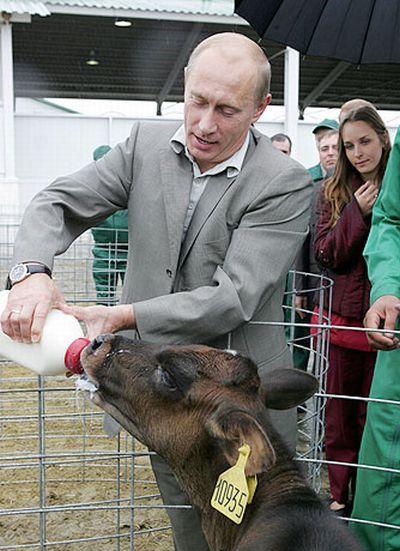 attachment.php?attachmentid=326821&stc=1&d=1387100800