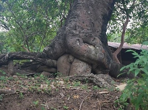 attachment.php?attachmentid=328978&stc=1&d=1387892969