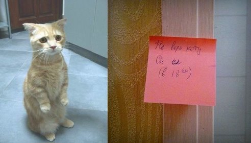 attachment.php?attachmentid=329117&stc=1&d=1387975016