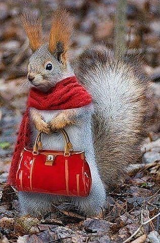 attachment.php?attachmentid=329329&stc=1&d=1388081723