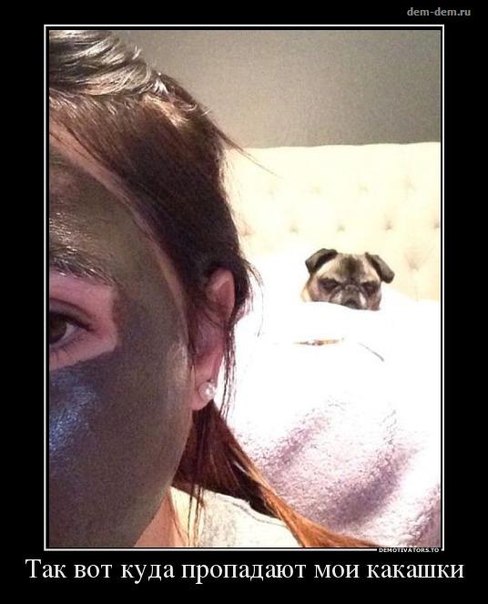 attachment.php?attachmentid=329333&d=1388085490