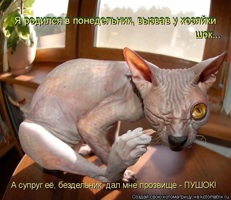 attachment.php?attachmentid=330112&stc=1&d=1388414195