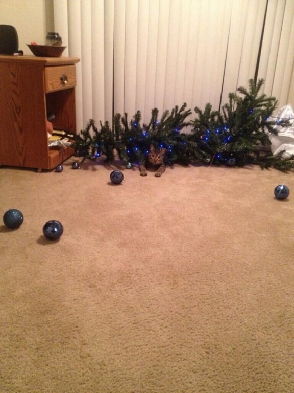 attachment.php?attachmentid=330358&stc=1&d=1388666068