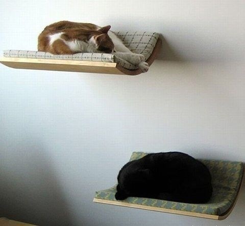 attachment.php?attachmentid=333182&stc=1&d=1389715451