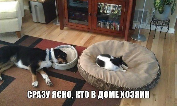 attachment.php?attachmentid=333848&stc=1&d=1389890471