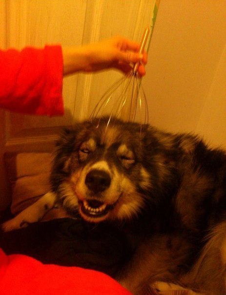 attachment.php?attachmentid=334378&d=1390078290