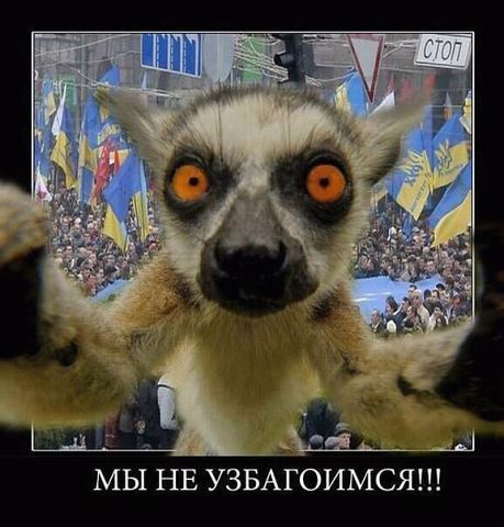 attachment.php?attachmentid=335412&stc=1&d=1390514242