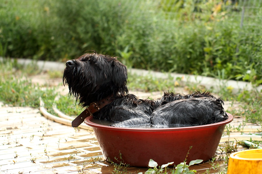 attachment.php?attachmentid=337093&stc=1&d=1391170696