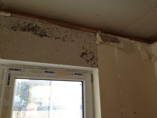 attachment.php?attachmentid=337887&stc=1&d=1391529962