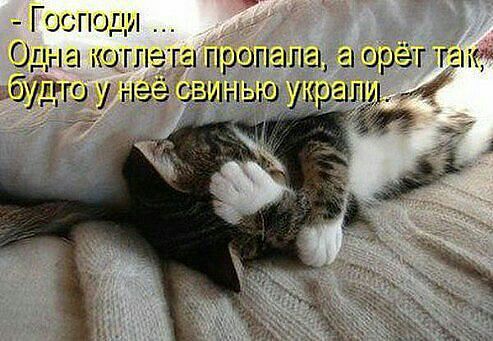 attachment.php?attachmentid=341119&stc=1&d=1392661473