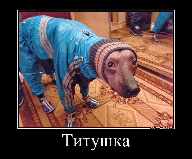 attachment.php?attachmentid=342966&stc=1&d=1393688609