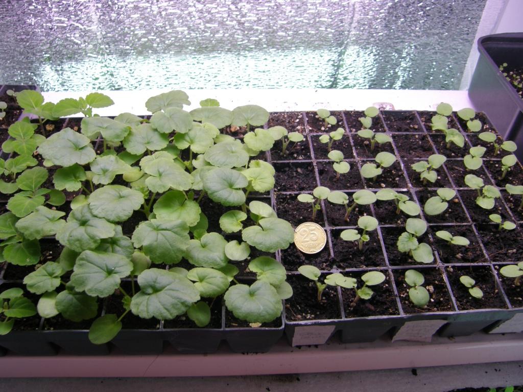 attachment.php?attachmentid=343540&stc=1&d=1394030520