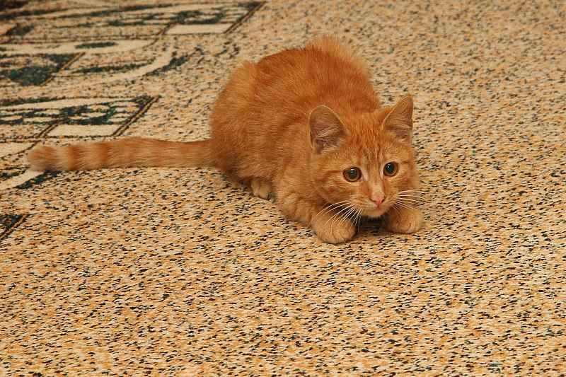 attachment.php?attachmentid=343852&stc=1&d=1394174265