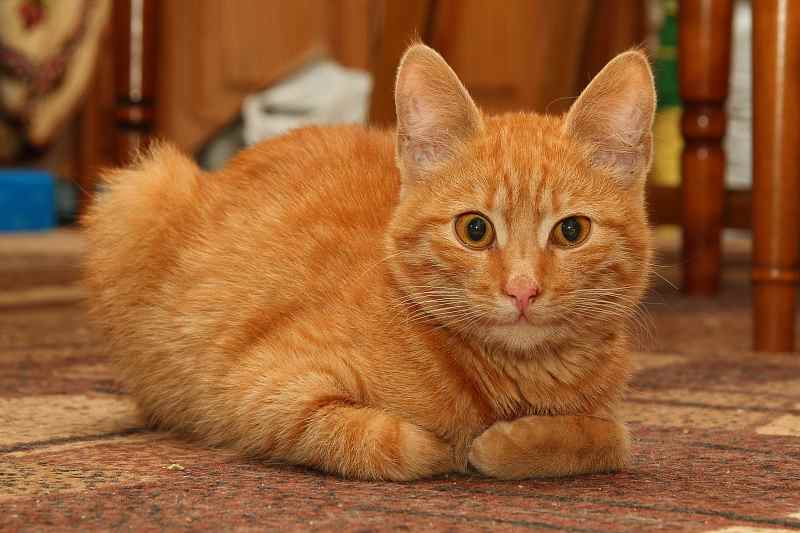 attachment.php?attachmentid=343853&stc=1&d=1394174265