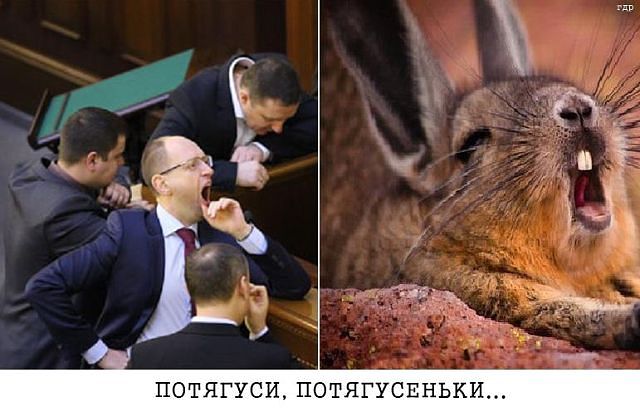 attachment.php?attachmentid=344050&stc=1&d=1394292764